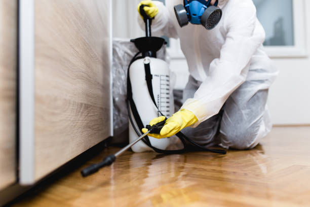 Best Flea Control Services  in Lake Placid, FL