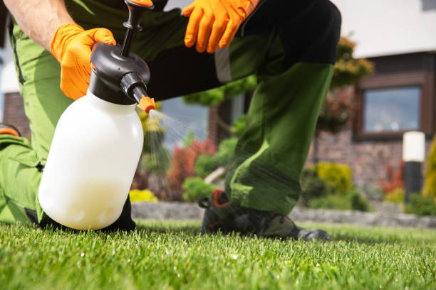 Best Residential Pest Control  in Lake Placid, FL