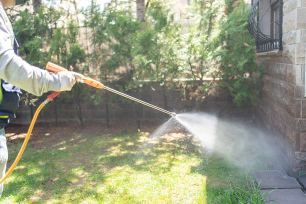 Best Wasp Removal Services  in Lake Placid, FL