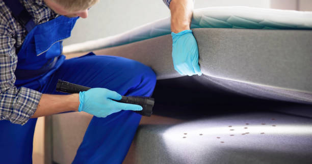 Best Cockroach Control Services  in Lake Placid, FL